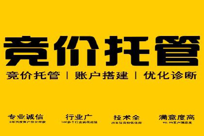 百度竞价价格优化，成功案例解析